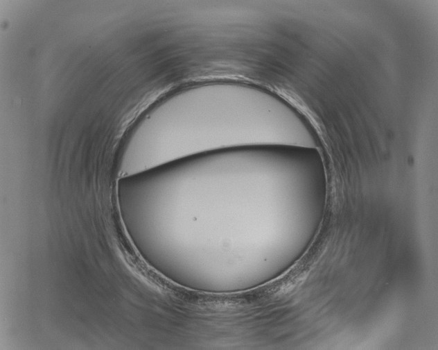 X0000062670533200512211037