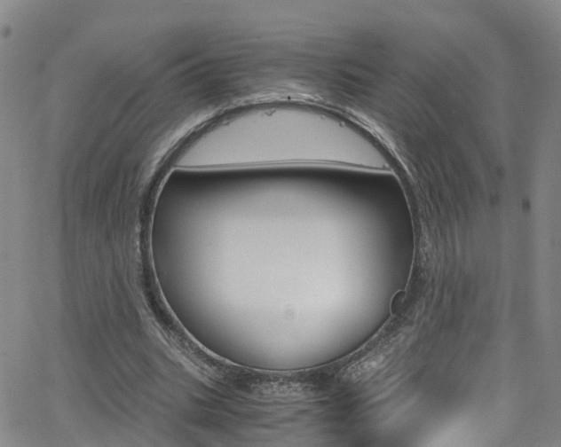 X0000062670535200512211037