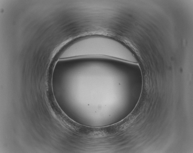 X0000062670536200512211037