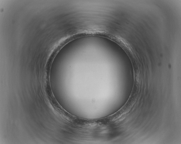 X0000062670540200512211037