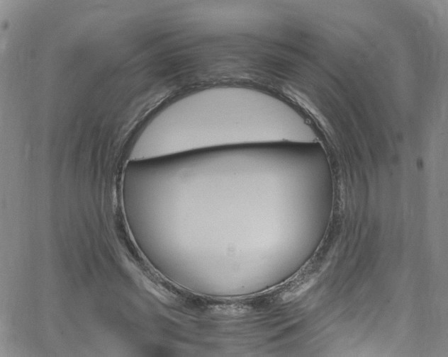 X0000062670541200512211037