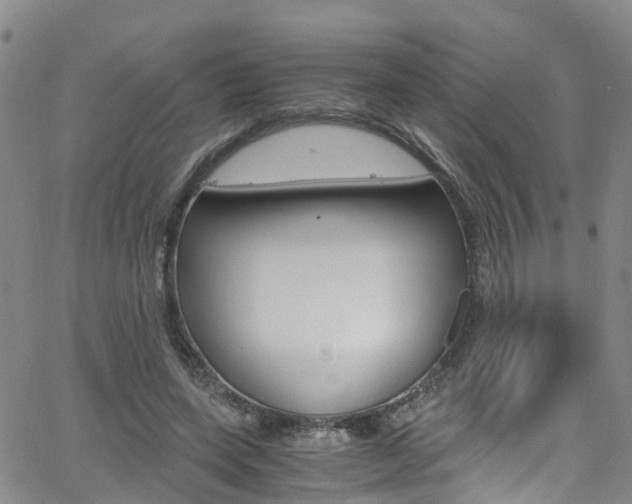 X0000062670543200512211037