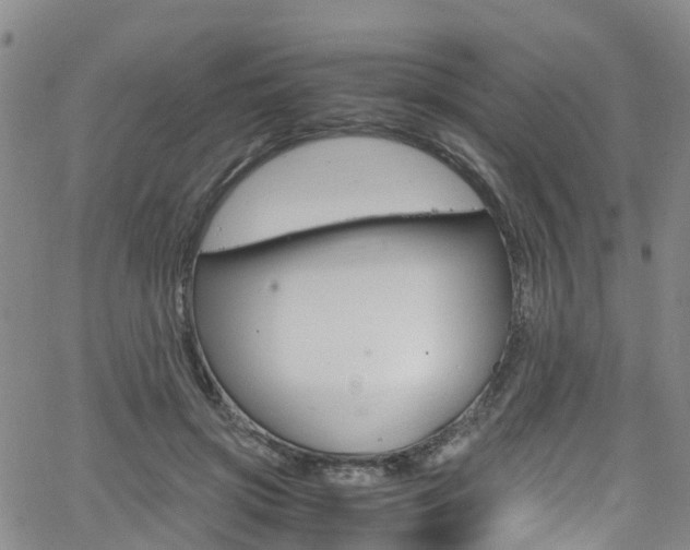 X0000062670549200512211037