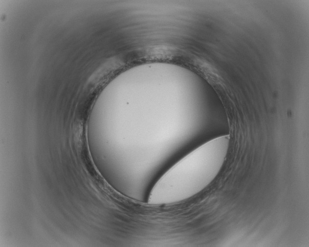 X0000062670550200512211037