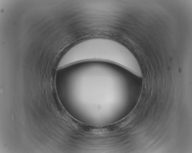 X0000062670556200512211037