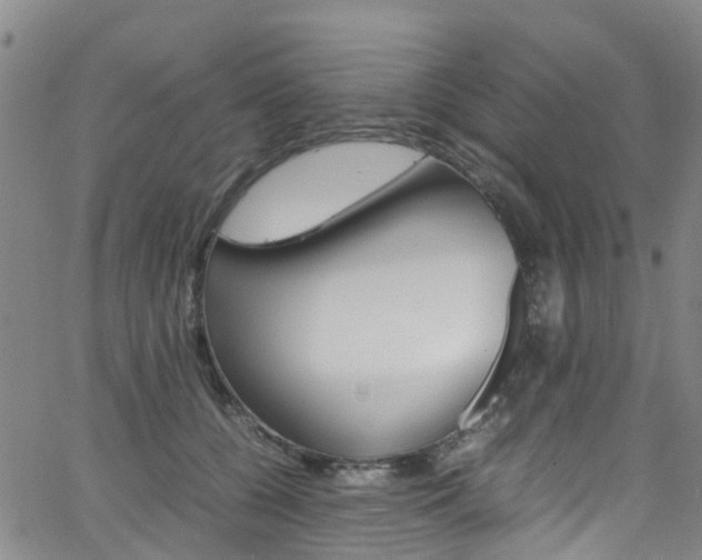 X0000062670560200512211038