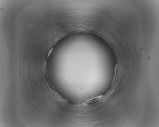 X0000062670576200512211038