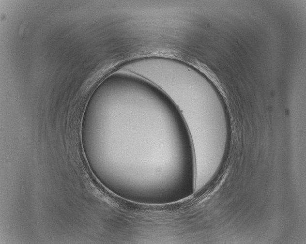 X0000062670577200512211037