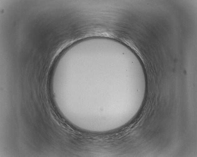 X0000062670579200512211037