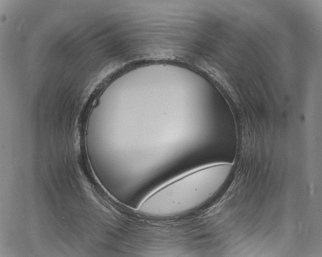 X0000062670584200512211037