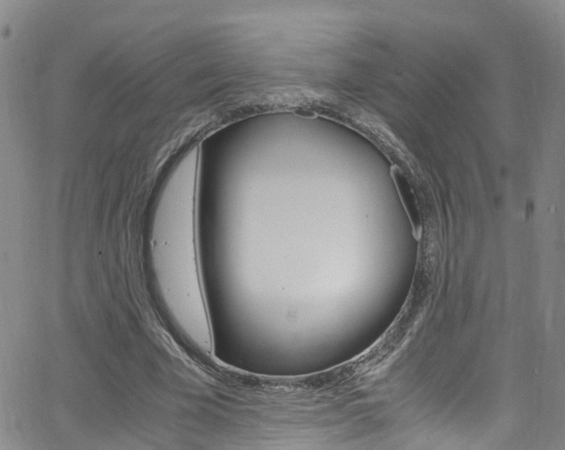 X0000062670585200512211037