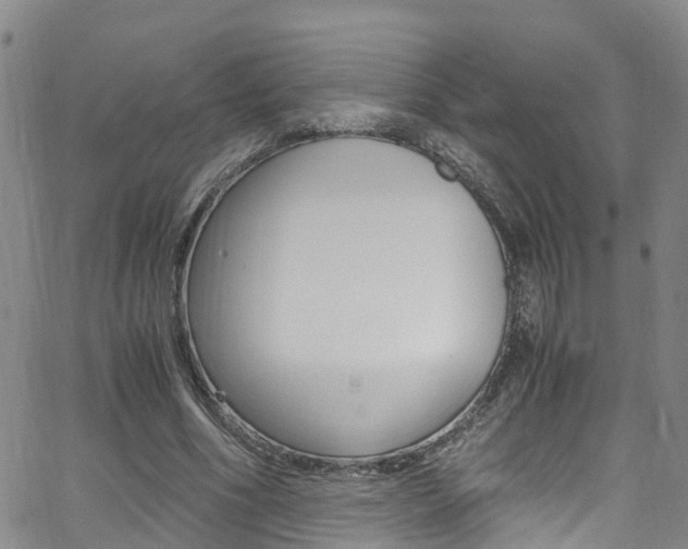 X0000062670586200512211037