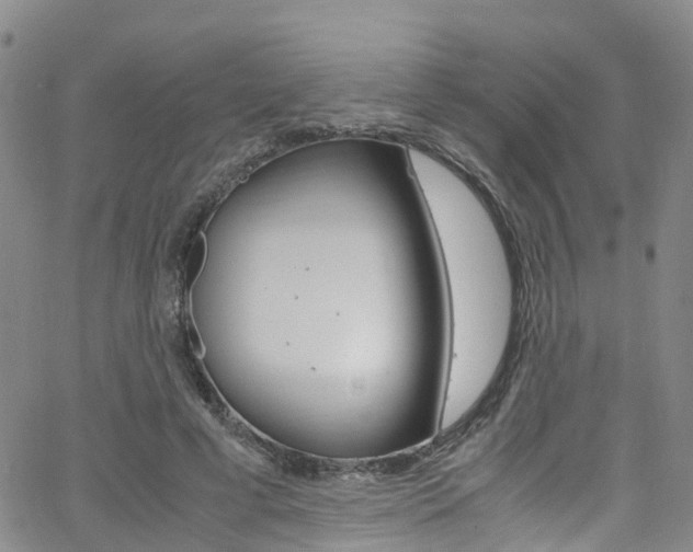 X0000062670593200512211037