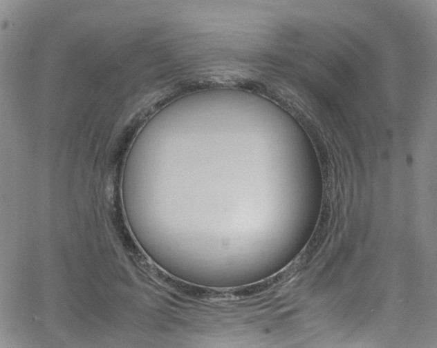 X0000062670595200512211037