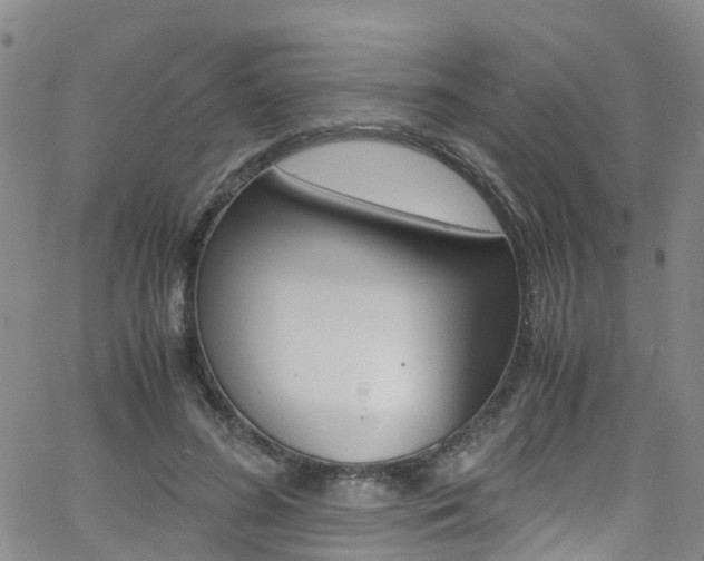 X0000062670596200512211037