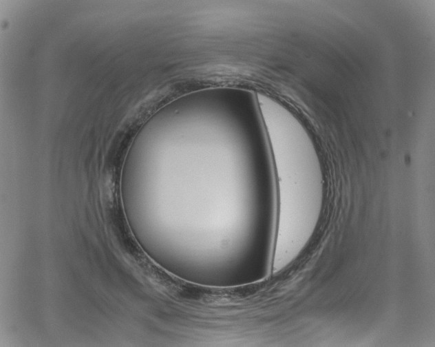 X0000062670597200512211037