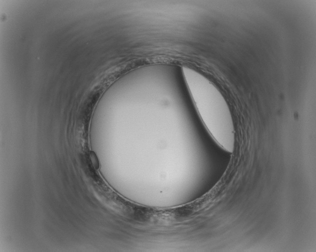 X0000062670599200512211037