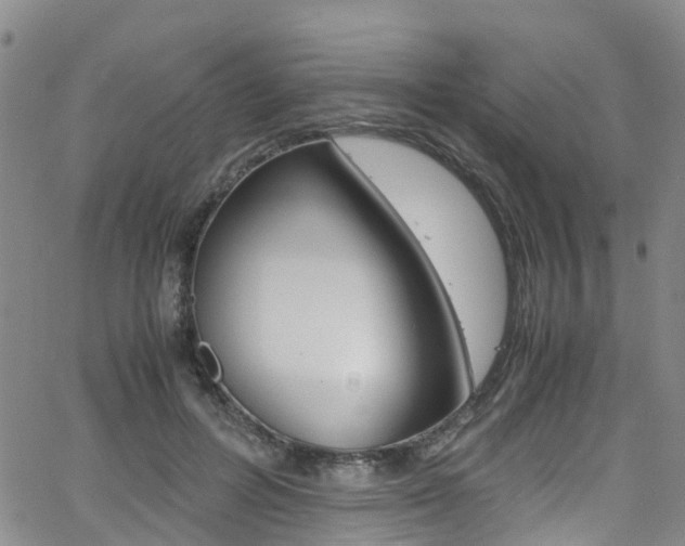 X0000062670600200512211037