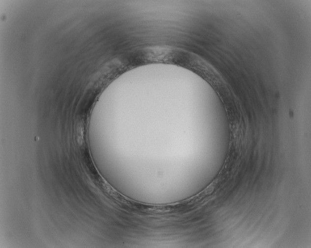 X0000062670602200512211037