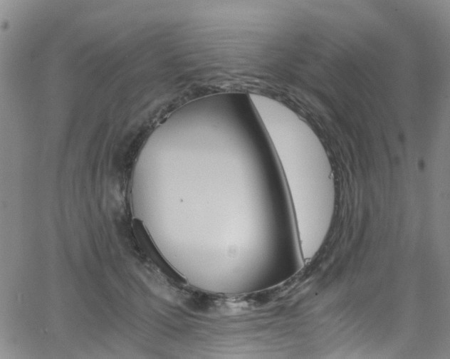 X0000062670607200512211037