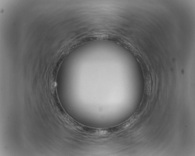 X0000062670609200512211036