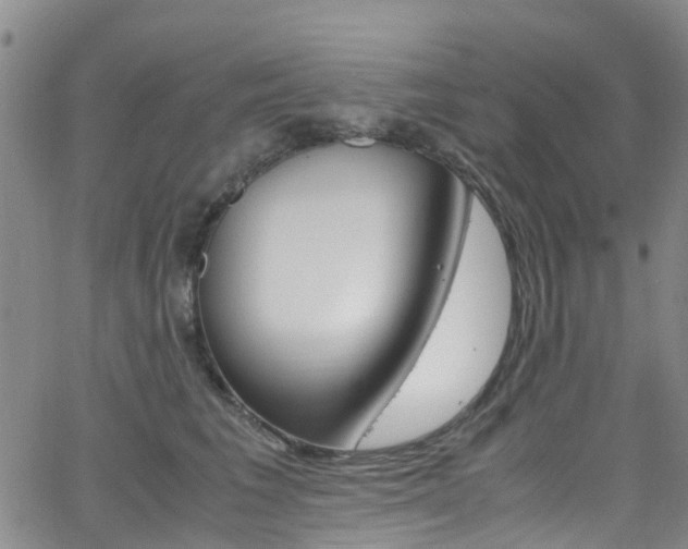 X0000062670613200512211036