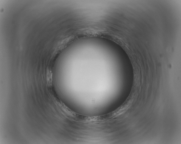 X0000062670624200512211036
