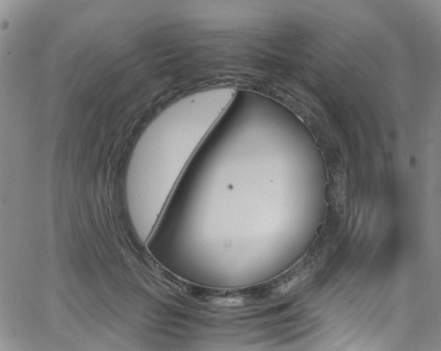 X0000062670653200512211036