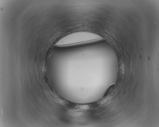 X0000062670665200512211036