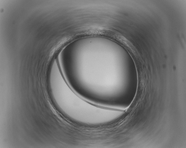 X0000062670677200512211035
