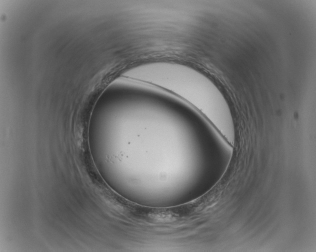 X0000062670693200512211035