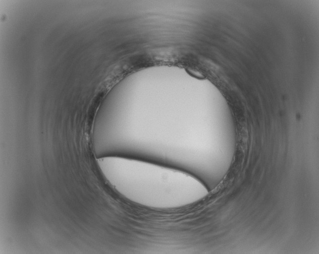 X0000062670707200512211035