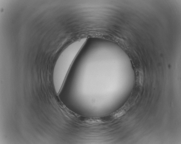 X0000062670712200512211035