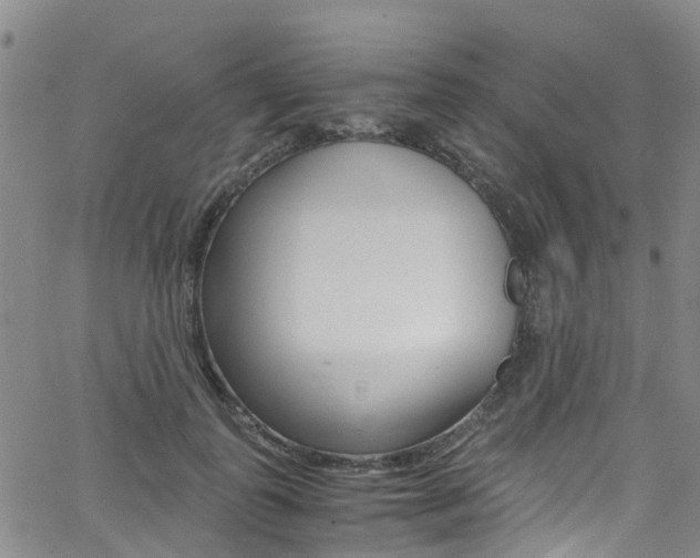 X0000062670747200512211034