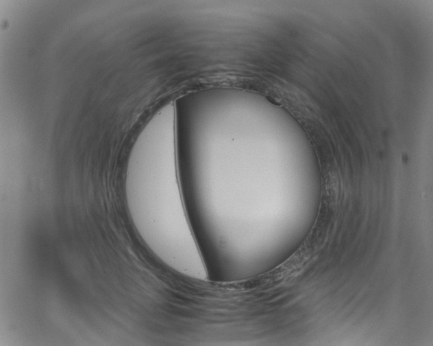 X0000062670751200512211034