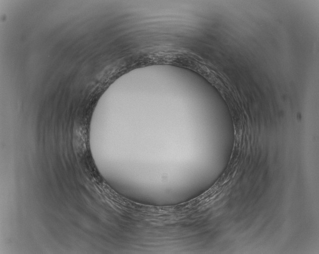 X0000062670772200512211034