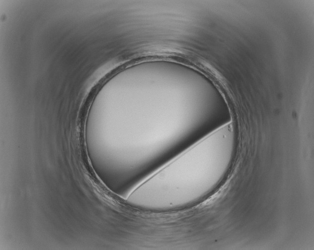 X0000062670779200512211034