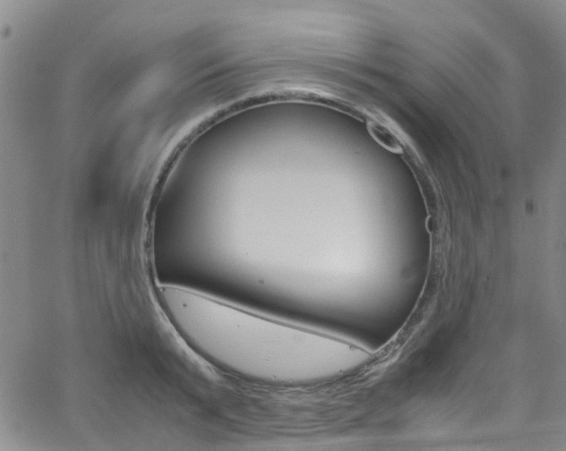 X0000062670799200512211033
