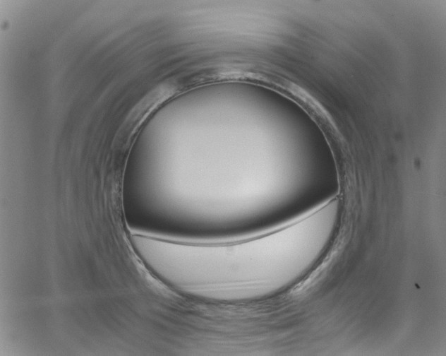 X0000062670801200512211033
