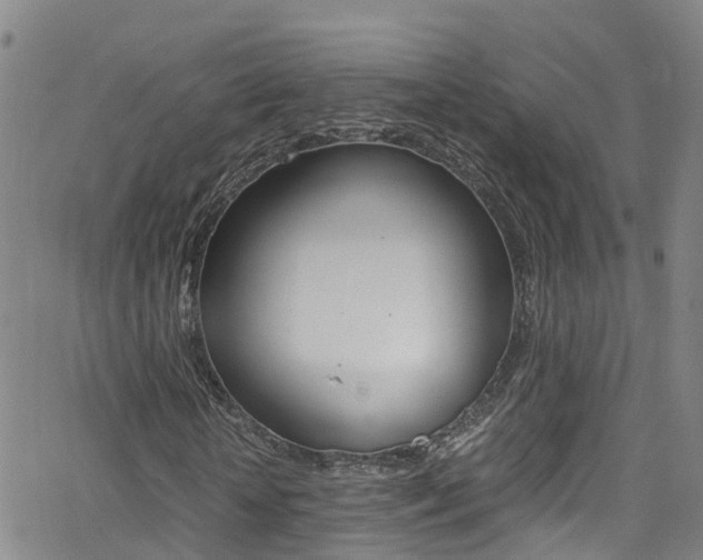 X0000062670818200512211032