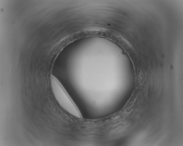 X0000062670821200512211032