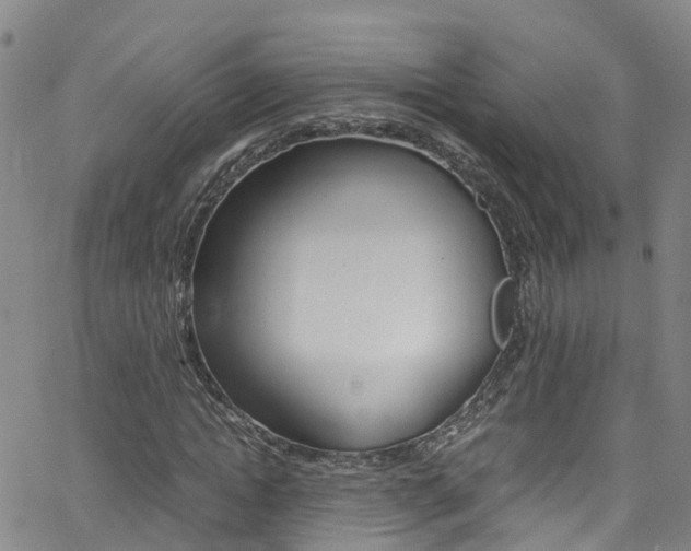 X0000062670822200512211032