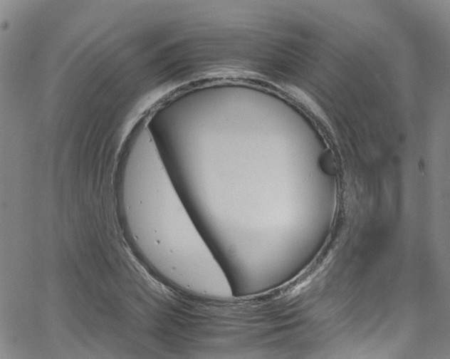 X0000062670831200512211032