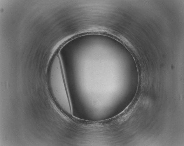 X0000062670838200512211033