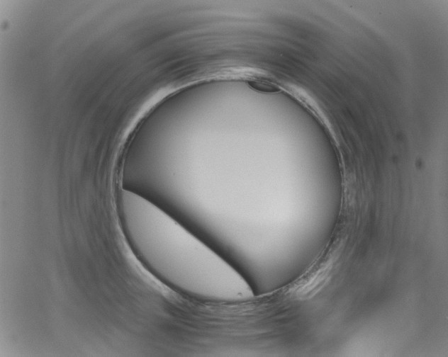 X0000062670851200512211033