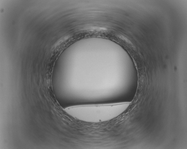 X0000062670869200512211032