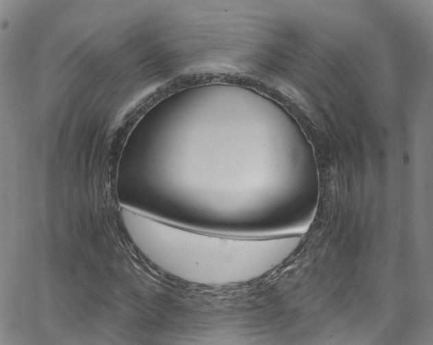 X0000062670872200512211032