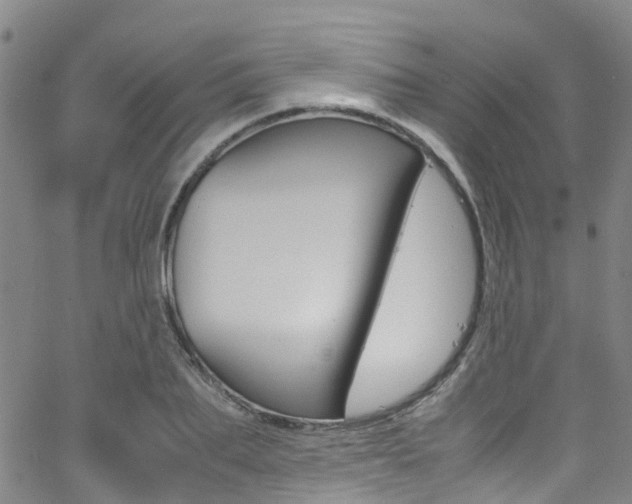 X0000062670887200512211032