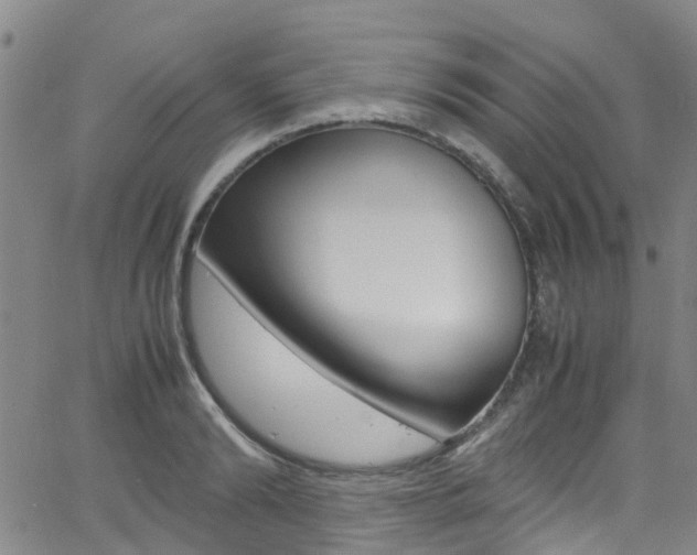 X0000062670894200512211032