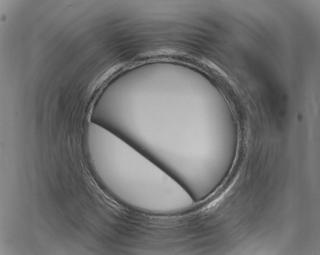 X0000062670921200512211031